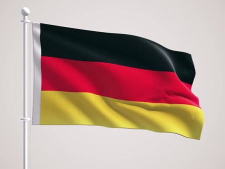 Alpha Shakes Up Germany: A Case Study on New Product Launch