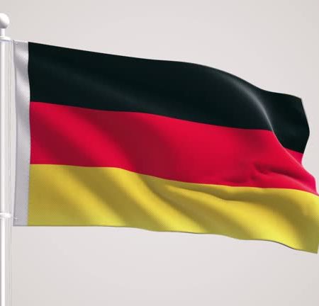 Alpha Shakes Up Germany: A Case Study on New Product Launch