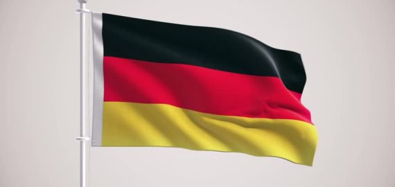 Alpha Shakes Up Germany: A Case Study on New Product Launch