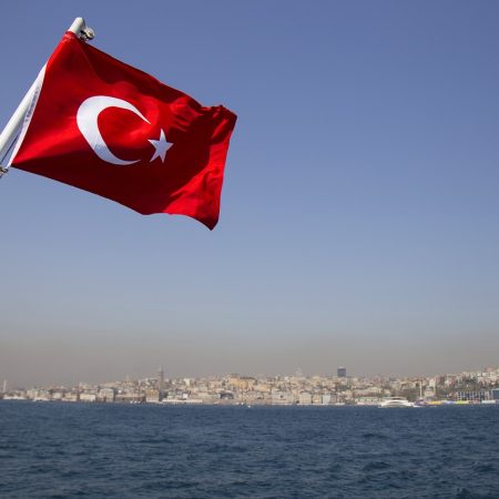 Turkey Cracks Down on Illegal Gaming, Blocks 233K Sites in 2024