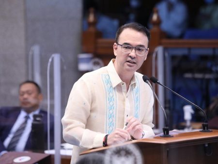 Senator Calls for Deeper Probe into Online Games Despite POGO Ban