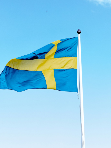 Swedish Regulator Fines Three Gaming Providers Over Black Market Ties