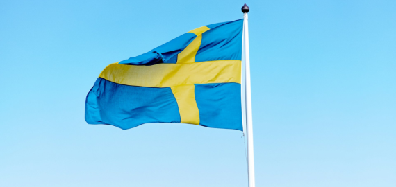 Swedish Regulator Fines Three Gaming Providers Over Black Market Ties