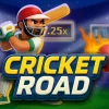 InOut Games’ Cricket Road Gets an Exciting Review