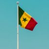 Senegal Imposes 20% Tax on Player Winnings Under New Gambling Law