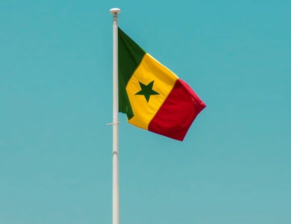 Senegal Imposes 20% Tax on Player Winnings Under New Gambling Law