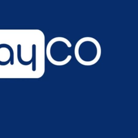 Turkey Seizes Assets of PayCo Amid Money-Laundering and Illegal Betting Investigation