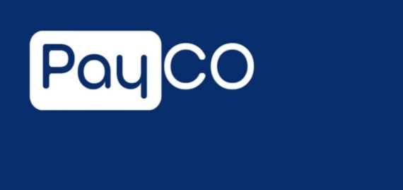 Turkey Seizes Assets of PayCo Amid Money-Laundering and Illegal Betting Investigation