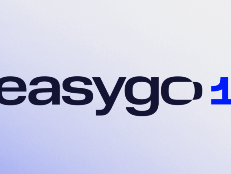 Easygo Posts $171M Profit Fueled by Stake and Kick Expansion
