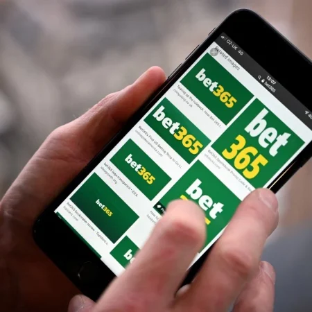 Turkey’s Gambling Tax Revenue Surpasses 50 Billion Lira Amid Soaring Betting Demand